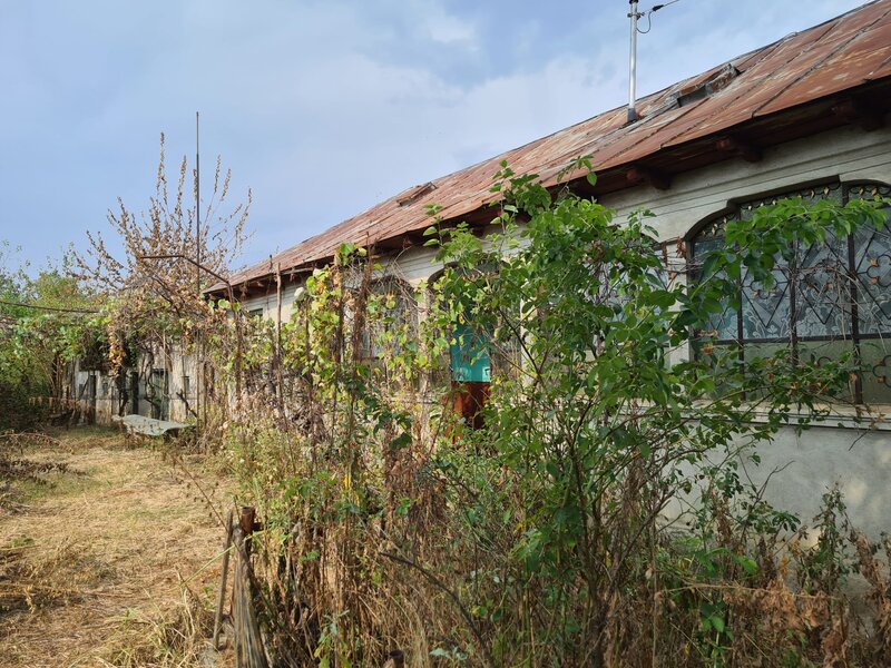 Vanatorii Mici, Autostrada Bucuresti-Pitesti, km 44